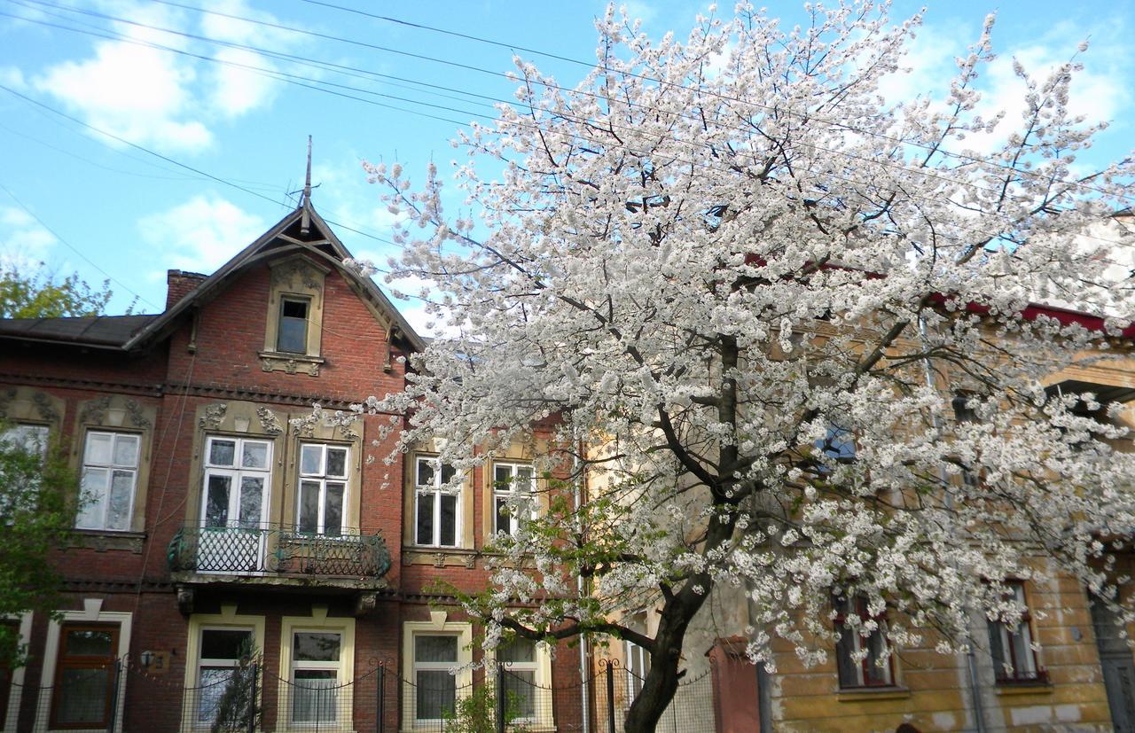 Studios at Anchevskih 3 Lemberg Exterior foto