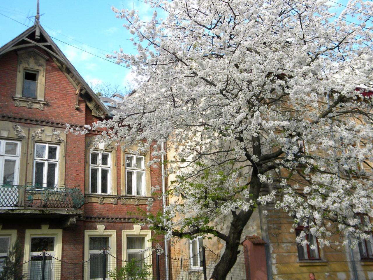 Studios at Anchevskih 3 Lemberg Exterior foto